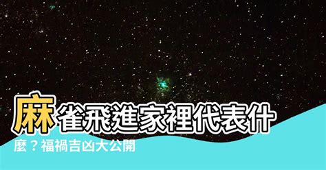 麻雀飛進家裡|【家裡飛進麻雀】家裡飛進麻雀！風水大解析，暗示了什麼美好的。